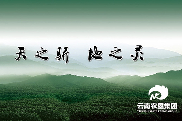 41-農(nóng)墾集團 (2)